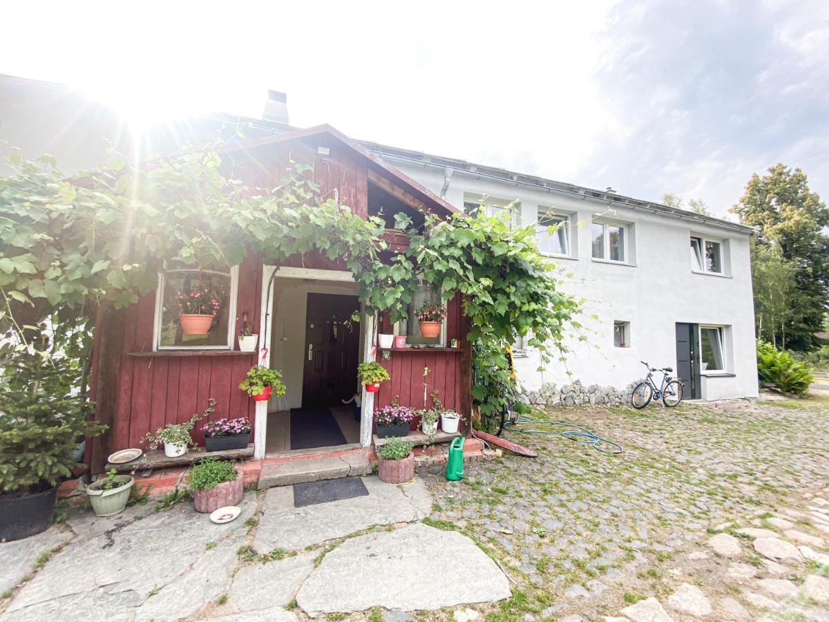 Pokoje Goscinne Izeria Kamien (Lwowek Slaski, Lower Silesian) Exterior foto